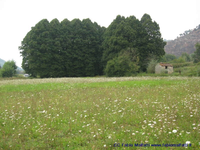 Ancestrale_ieri_oggi_domani_IMG_2974 CC BY-NC-SA 3.0 IT by  Fabio Malfatti 